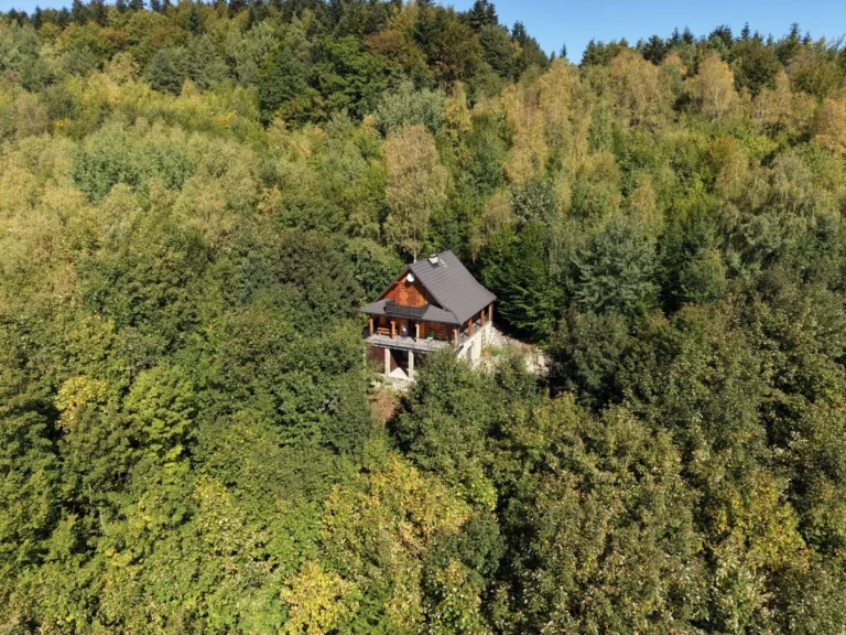 Dom w Rozdzielu otoczony lasem, widok z lotu ptaka