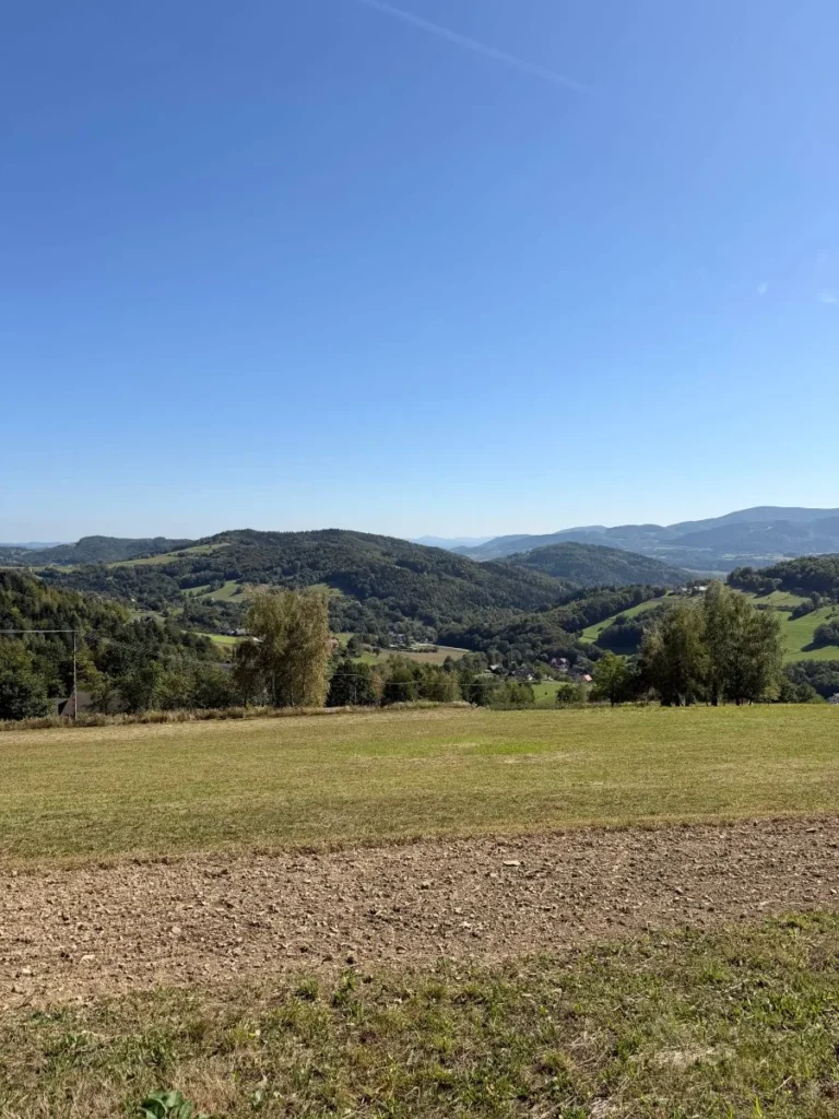 Panorama gór i łąki w okolicy Rozdziela